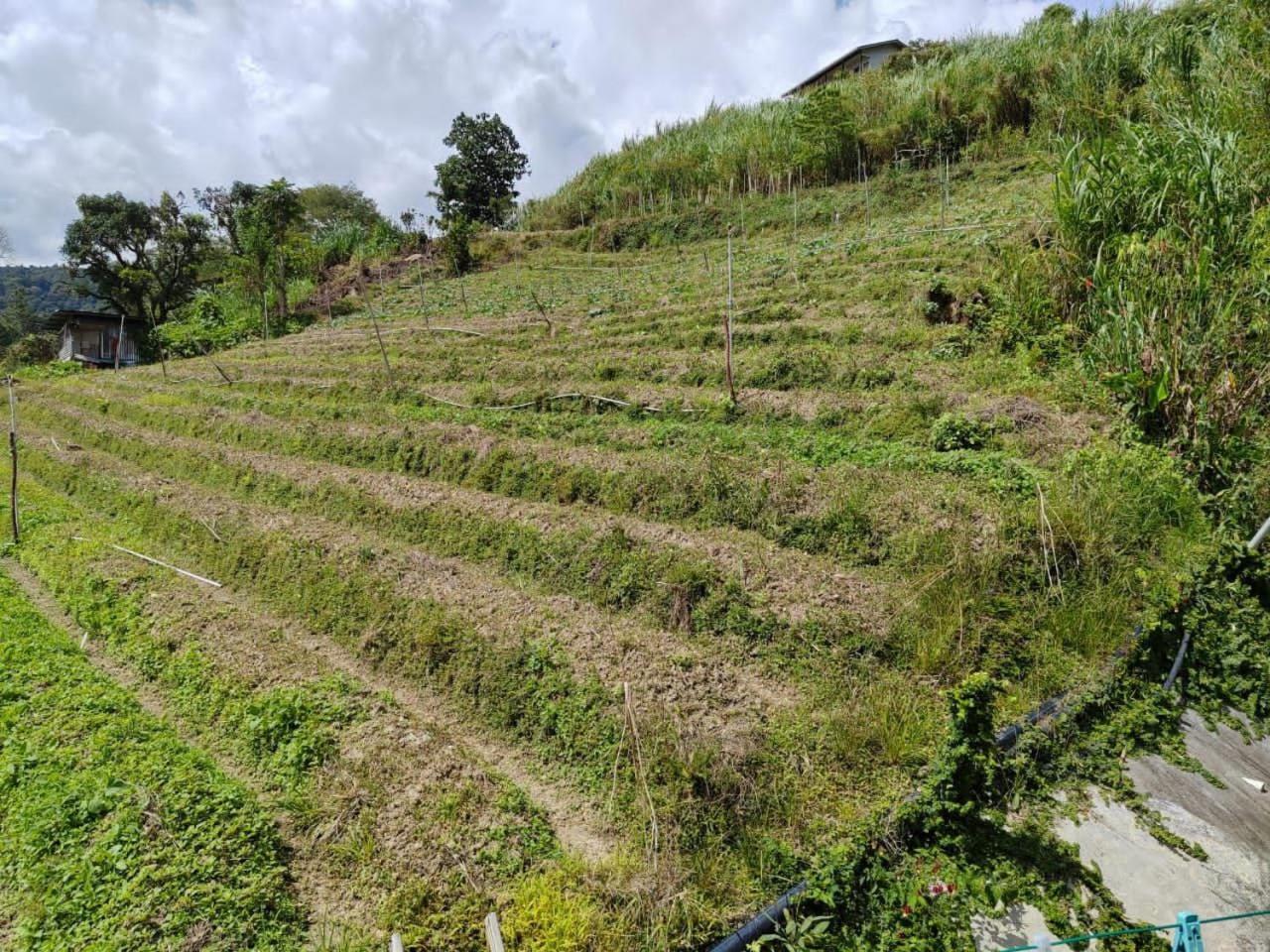 Kundasang Mount Garden מראה חיצוני תמונה